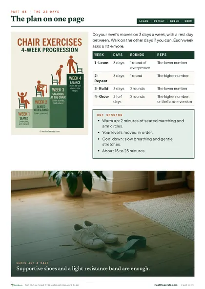 The 28-Day Chair Strength and Balance Plan: The 28 days on one page