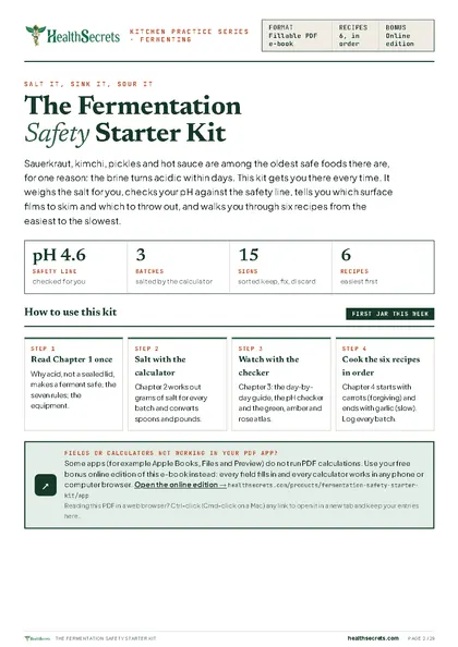 Fermentation Safety Starter Kit: Salt, submerge, check: how to use the kit