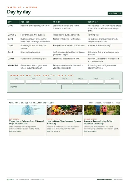 Fermentation Safety Starter Kit: Day by day, with a temperature log for your fermenting spot