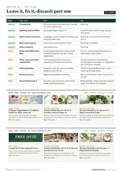Fermentation Safety Starter Kit: The atlas: what to leave alone and what to fix