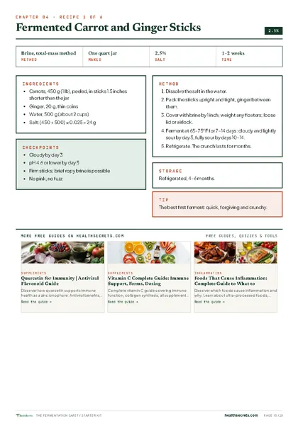 Fermentation Safety Starter Kit: Six Recipes, Easiest First page