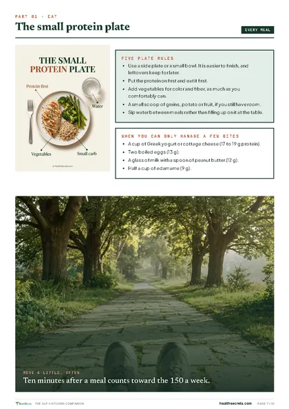 The GLP-1 Kitchen Companion: The small protein plate