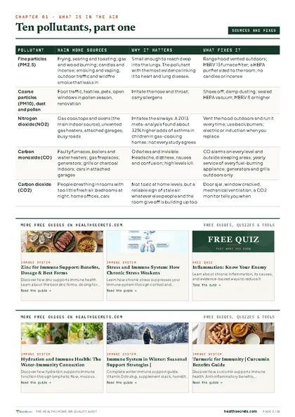 Healthy Home Air Quality Audit: What Is in the Air page