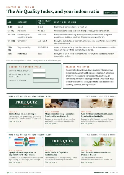 Healthy Home Air Quality Audit: The Air Quality Index, and your indoor-to-outdoor ratio