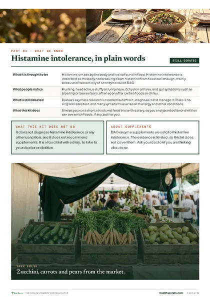 The Low-Histamine Food Navigator: Histamine intolerance, in plain words