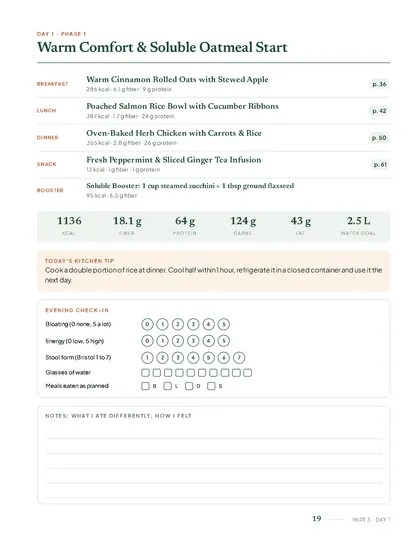 The 14-Day Gut-Friendly Meal Planning System: A day page: four meals with recipe pages, the day’s totals and an evening check-in