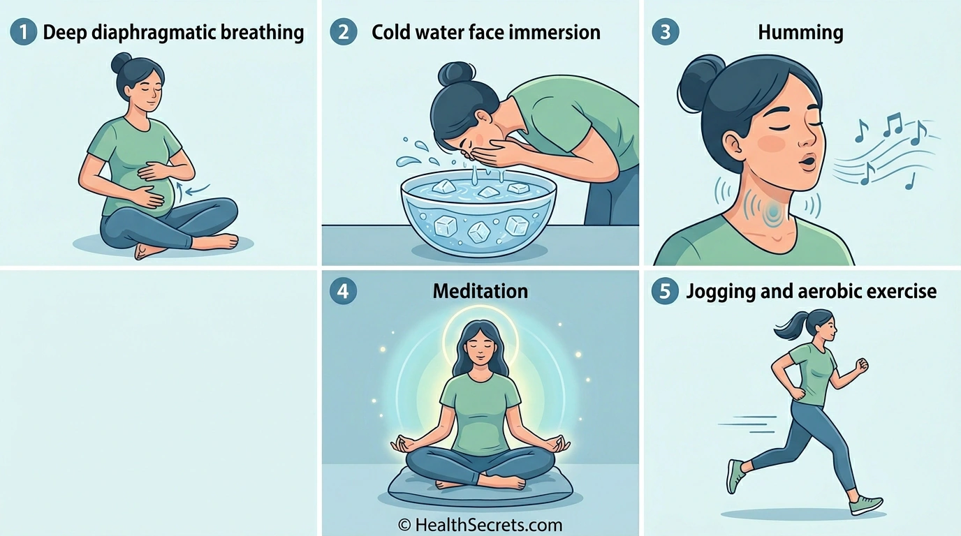 Illustrated guide showing five natural vagus nerve stimulation techniques including deep breathing, cold exposure, humming, meditation, and exercise