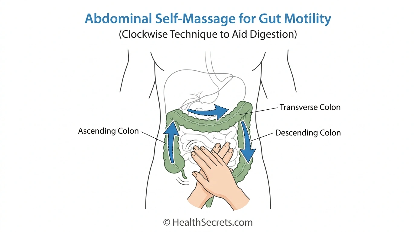Illustration showing clockwise abdominal massage technique following the colon path to stimulate gut motility