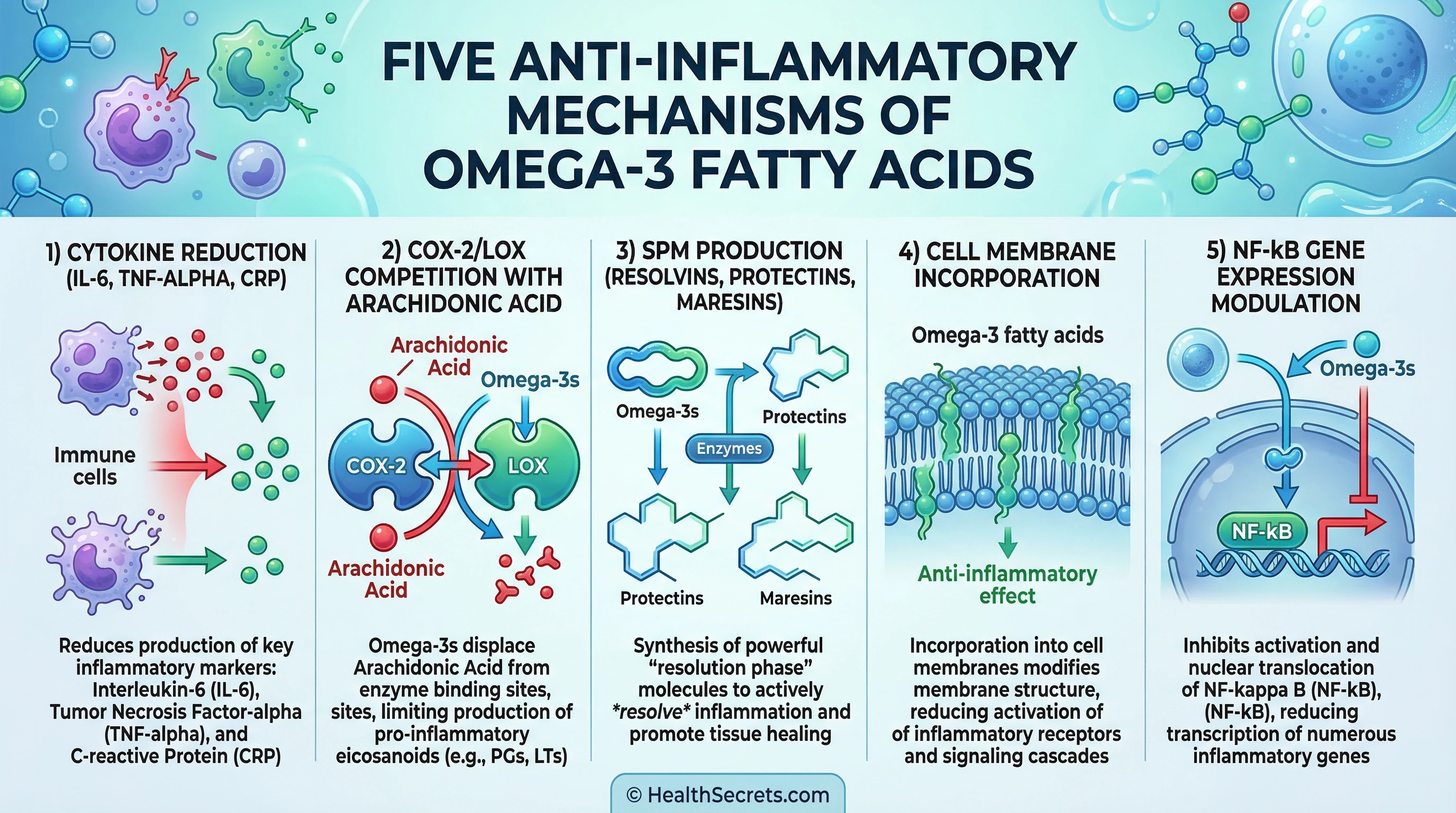 Infographic showing five anti-inflammatory mechanisms of omega-3 fatty acids including cytokine reduction and SPM production