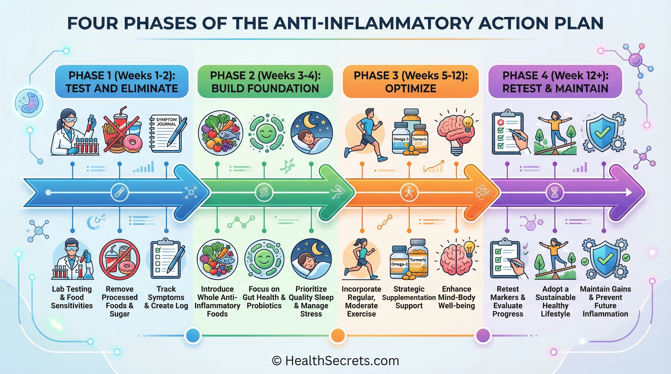 Timeline infographic showing four phases of the anti-inflammatory action plan from testing through long-term maintenance
