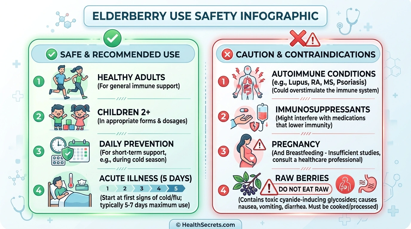 Elderberry safety guide showing who can safely take elderberry and who should use caution
