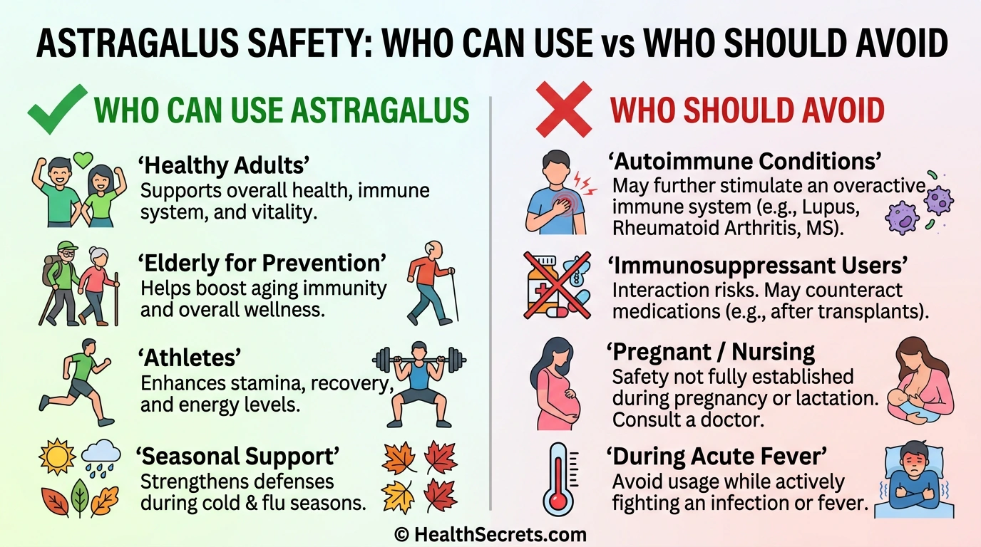 Safety infographic showing who can and cannot safely use astragalus for immune support