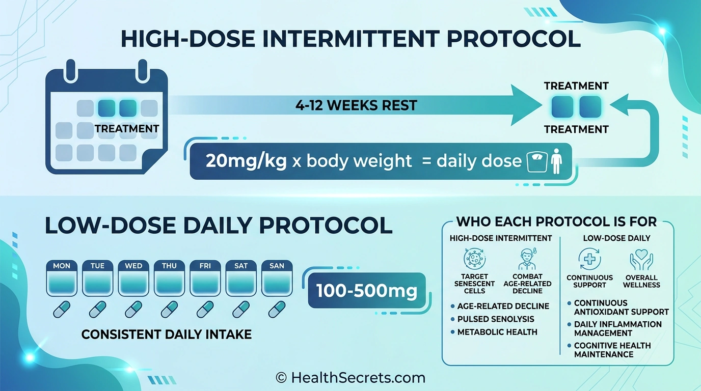 Infographic comparing high-dose intermittent and low-dose daily fisetin dosing protocols with calendar visualization