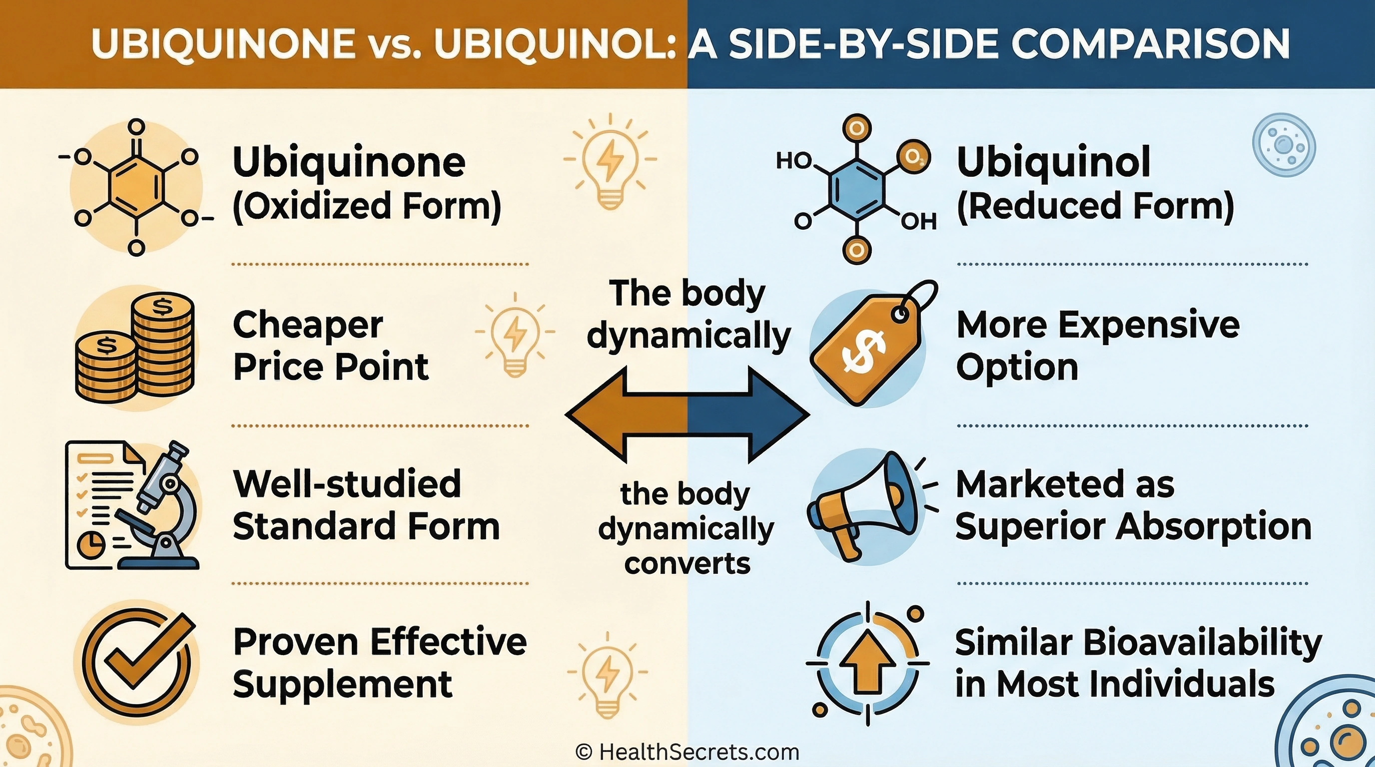 Comparison of ubiquinone vs ubiquinol CoQ10 forms showing similar bioavailability