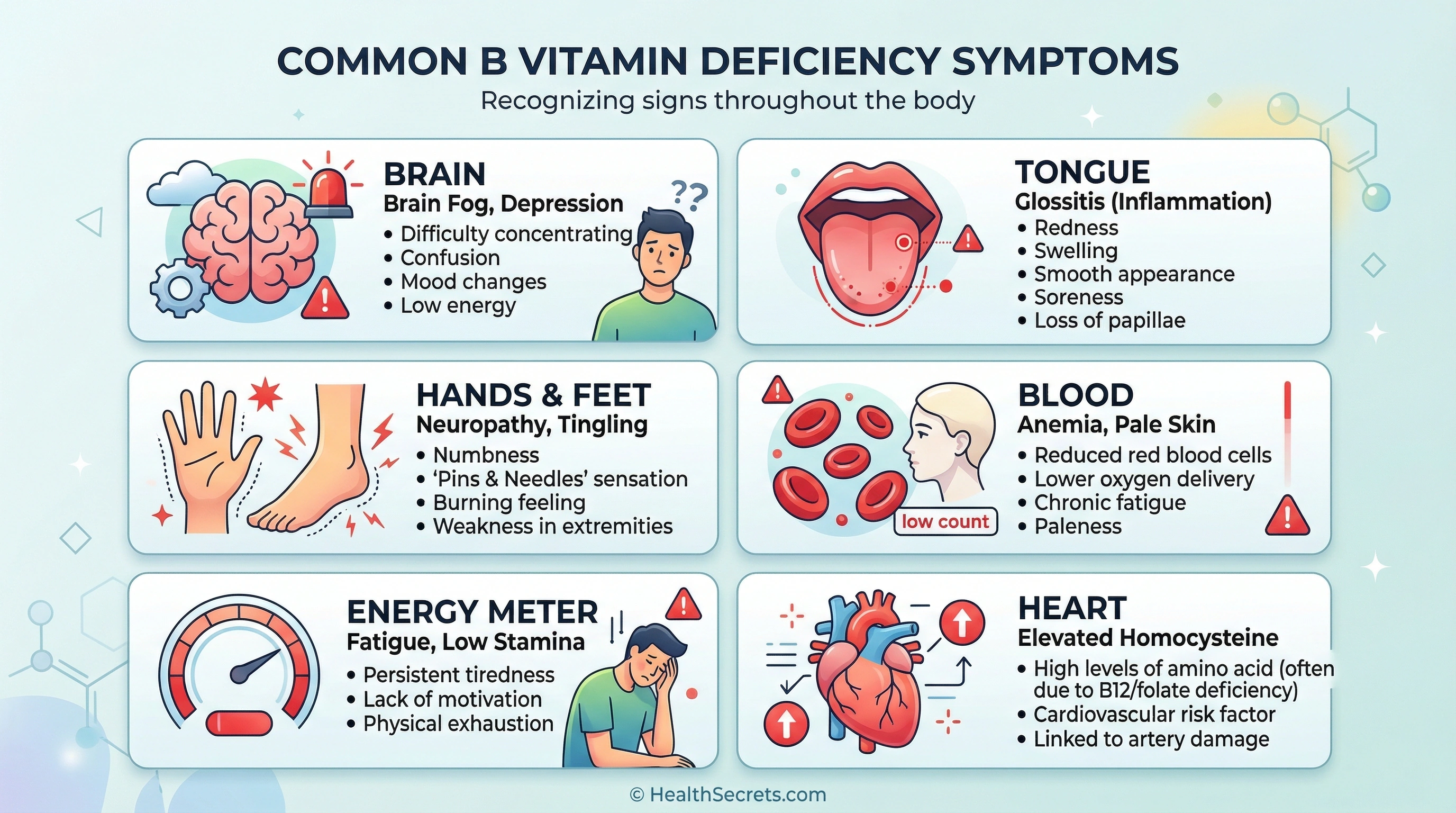 Infographic showing B vitamin deficiency symptoms including fatigue, brain fog, neuropathy, anemia, glossitis, and elevated homocysteine