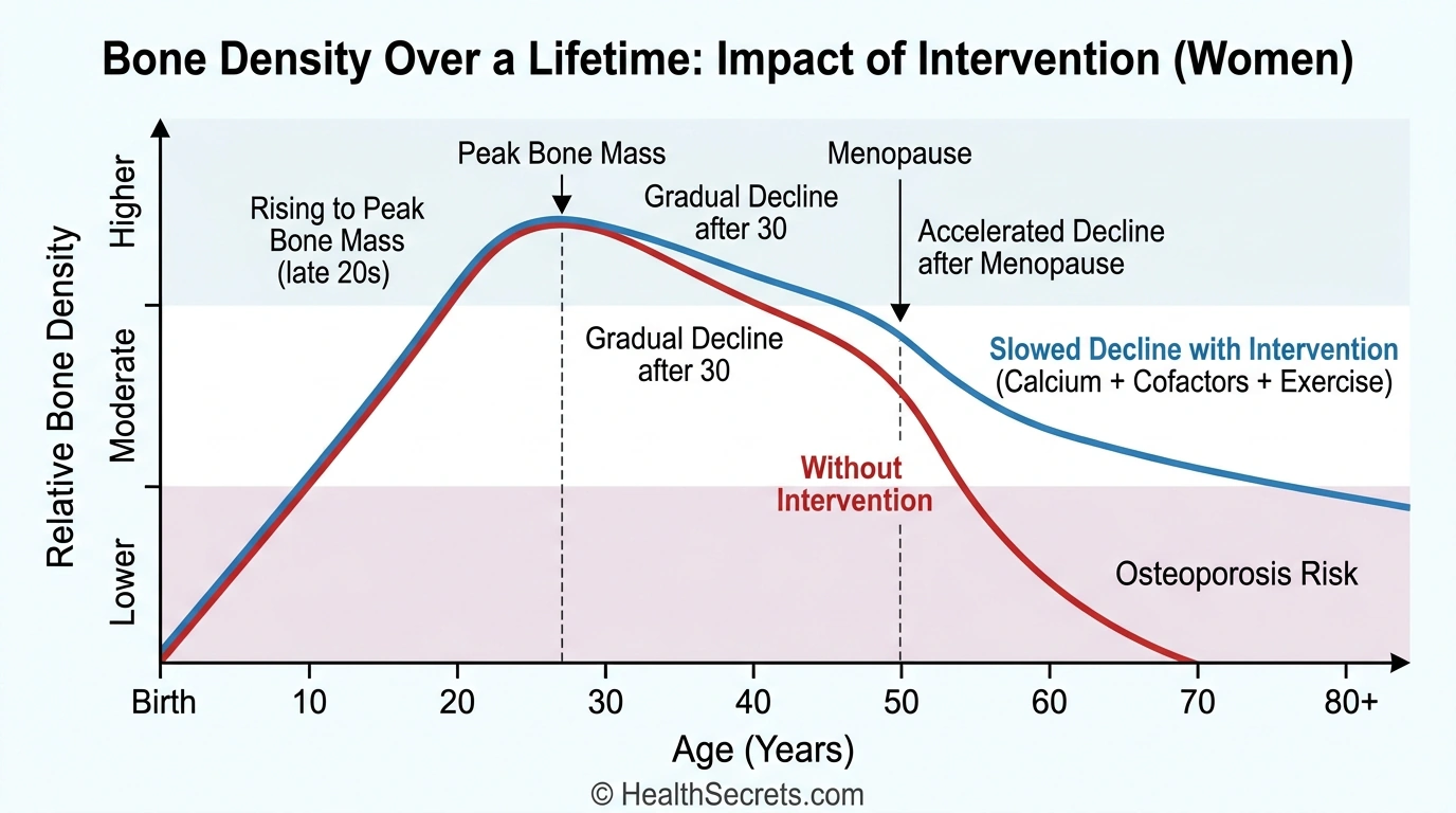 Graph showing bone density changes over a lifetime with and without calcium supplementation and exercise