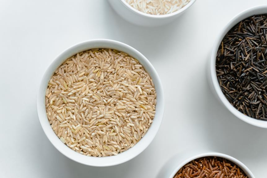 Latest Insights: Dietary Fiber's Role in Digestive Health